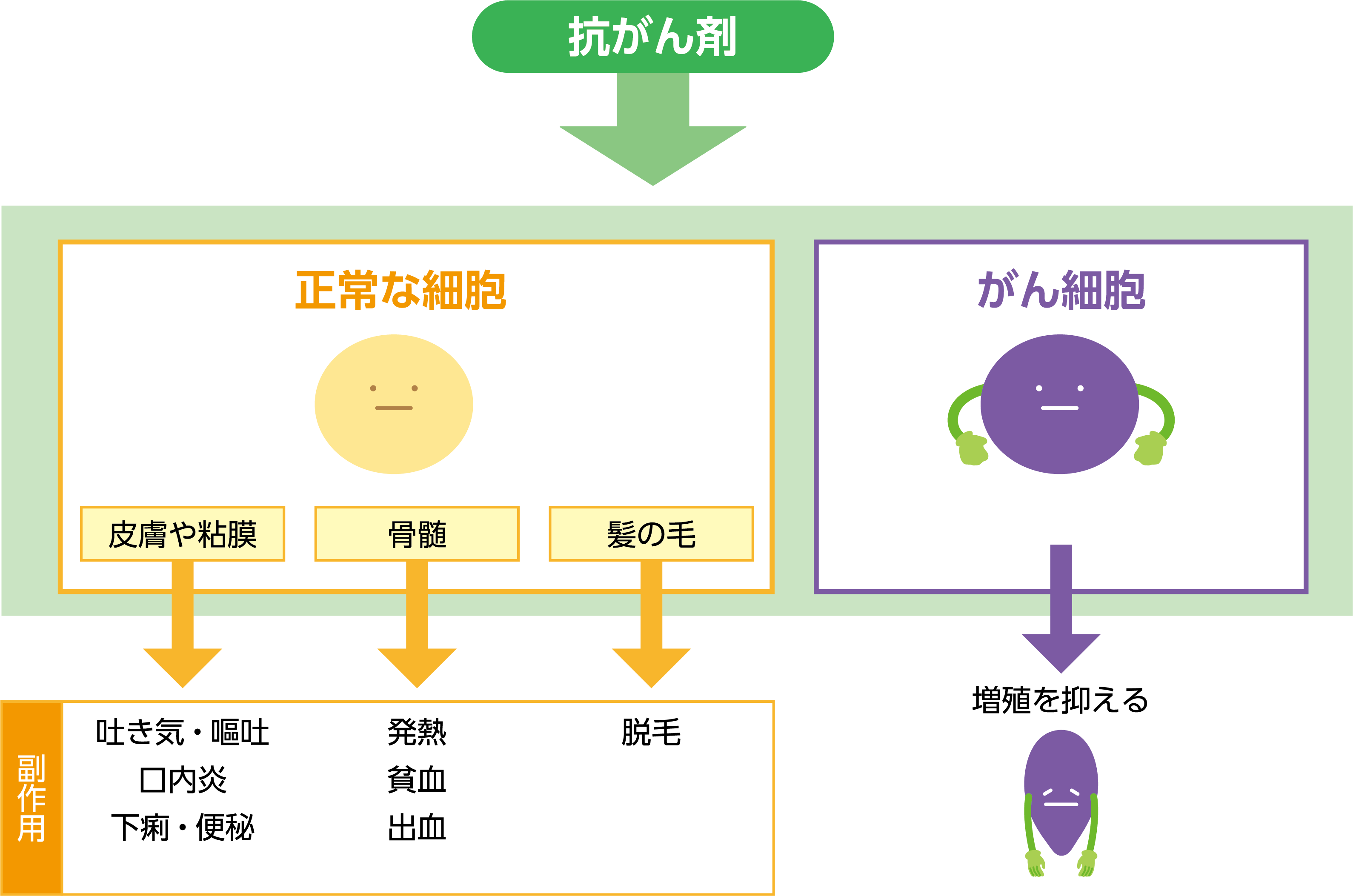 図：抗がん剤の作用のしかた